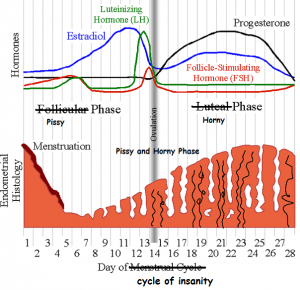 MenstrualCycle1